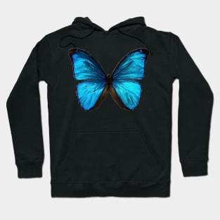 butterfly Hoodie